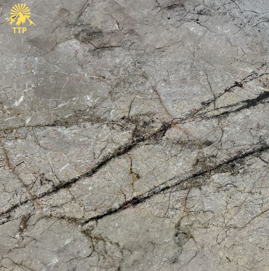 Đá Silver Eldorado Marble