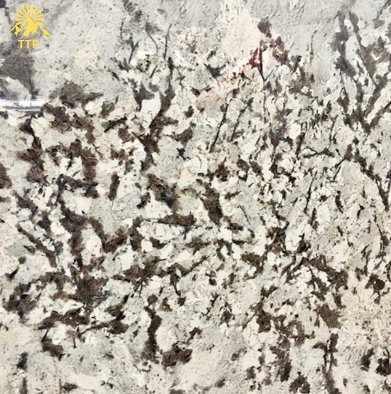 Đá Trắng Bianco Antico